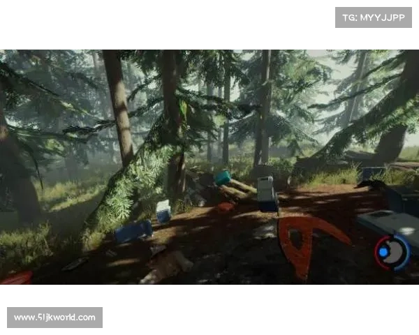 雾隐森林探险指南：跋涉迷雾，揭开丛林之谜